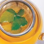 The Many Benefits Of Green Tea On Your Metabolism
