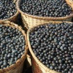 The Powerful Health-Boosting Qualities Of Acai Berries