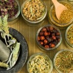 Is Fang Chi Dangerous For Your Health?