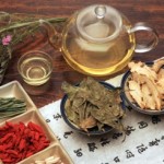 Huang Qi – the Chinese traditional herb for everyone