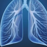 What Are The Effects Of Yoga On The Respiratory System?