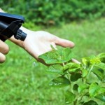 Do You Need to be More Vigilant about Pesticide Exposure?