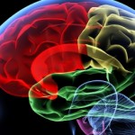 Please Remember: 5 Simple Steps Towards A Better Memory