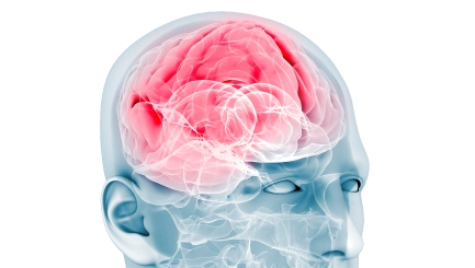 Scientists discover what makes your brain get excited