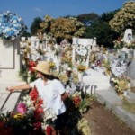 What Causes The Human Race To Inevitably Die?