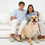 Why Your Pets Aren’t The Same As Children