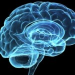 Your Three-Step Guide To Keeping Your Brain Young