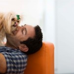 Ensure Your Dog Is Properly Treated For Arthritis