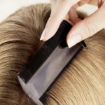 The Nitty-Gritty: What Do You Need to Know About Head Lice?