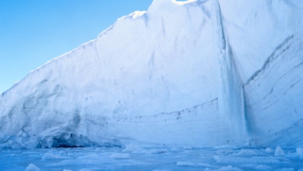 What Everyone Should Know About Environmental Health