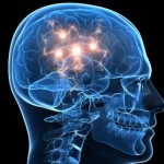Older and Wiser: You Age, but Your Brain Doesn’t Have to!