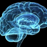 How to Slow Down Your Brain’s Ageing