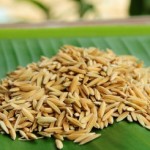 China Looks Into Use Of Children In GMO Study