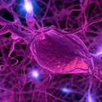 Hormones Often to Blame For Weight Gain