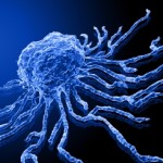 How Do Stem Cells Work in Rebuilding Healthy Heart Tissue?