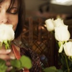 How Can Gorse Help You to Get Back Your Mojo?