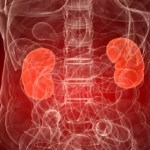 Kidney Disease: Could Herbal Treatments Be The Cause?