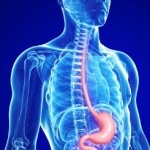 Oesophageal Cancer Has New Genetic Clues