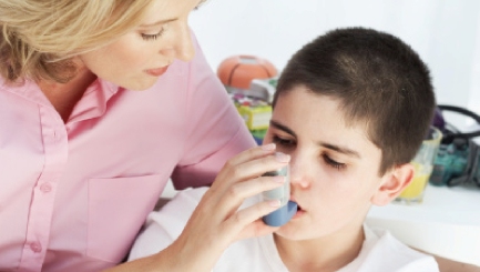 Risk for Children with Asthma in Lone Parent Households