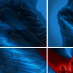 How To Eat The Right Foods To Help You Beat Arthritis