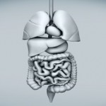 Now Crohn’s Sufferers Can Find Out Which Vitamins To Take