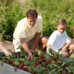 How to Keep Toxins out of Your Family’s Diet