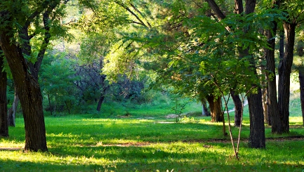 green space