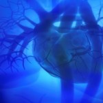 The Essential Natural Ingredients that Boost Heart Health