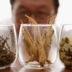 How to Use Herbs to Prevent Yourself Getting The Flu
