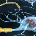 Multiple Sclerosis and Chinese Medicine: Mind or Matter?