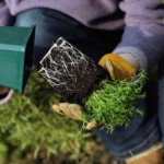 How to Get Planting in the Garden When Spring is Too Cold