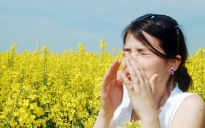 allergies