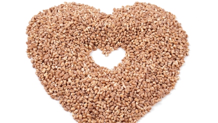 beta glucans