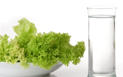 fasting diet