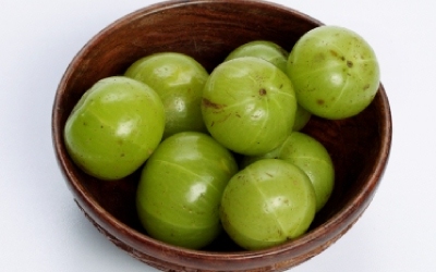 gooseberry