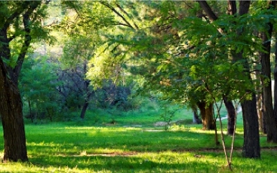 green space