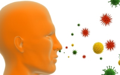 allergy2