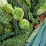 Fibre: What You Need to Know For a Healthy Diet