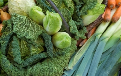 fibrediet