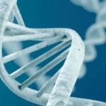 Type 1 Diabetes – Treatable with Gene Therapy?