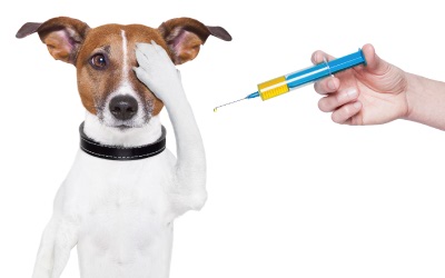 pet vaccinations