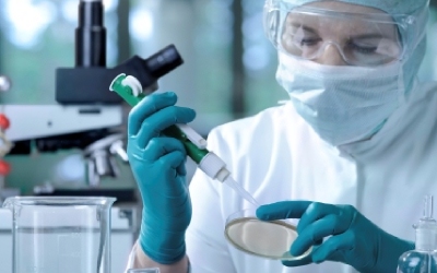 researchers